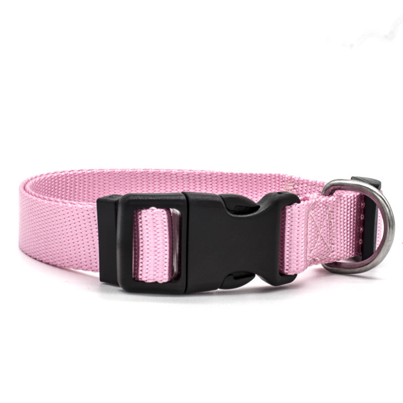 PetCheery Everyday Comfort Pet Collar